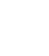 Shopping Icon