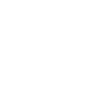 Key Icon